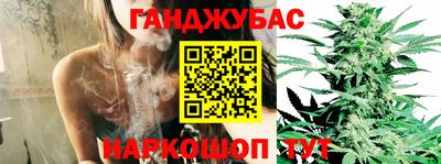 PSILOCYBIN Гусиноозёрск
