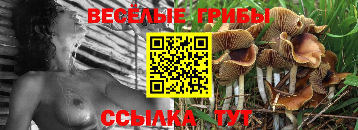 Псилоцибиновые грибы GOLDEN TEACHER Междуреченск