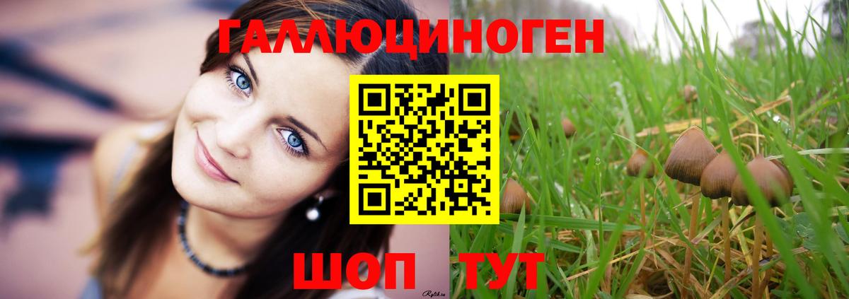 продажа наркотиков  Вход с VPN  Междуреченск  Галлюциногенные грибы мицелий  Галлюциногенные грибы прущие грибы 